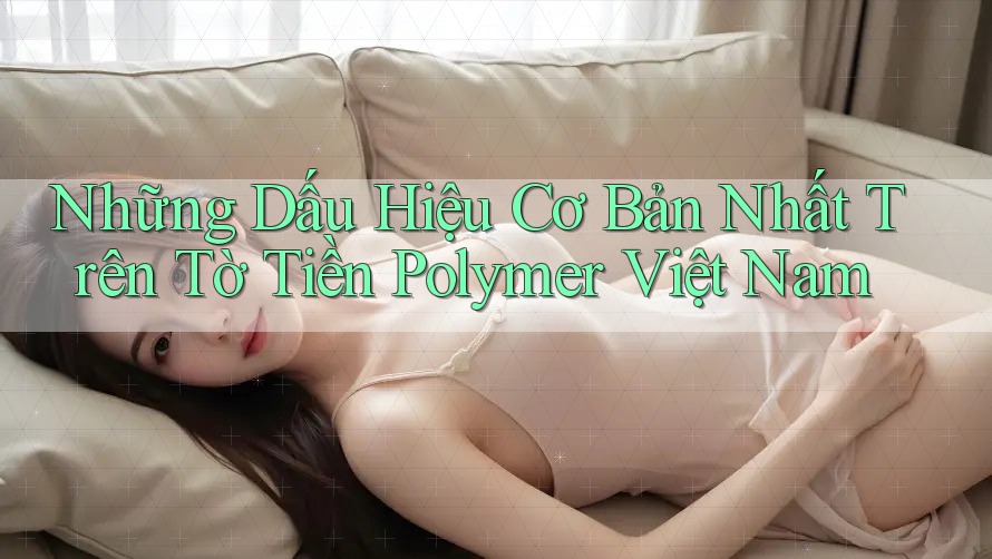 Những Dấu Hiệu Cơ Bản Nhất Trên Tờ Tiền Polymer Việt Nam Những Dấu Hiệu Cơ Bản Nhất Trên Tờ Tiền Polymer Việt Nam